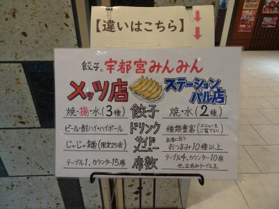  大人の休日倶楽部パス　今回は日帰りです　3日目は宇都宮へ晩御飯を食べに行きました（2日目はありません）