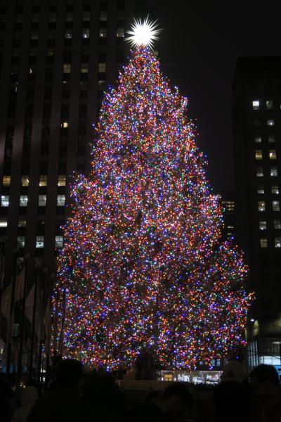 アメリカ東海岸リベンジ旅 ほぼ美術館巡り 6