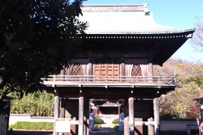 秋の国分寺散策（後半）☆ 武蔵国分寺跡資料館・国分寺・武蔵国分寺跡・武蔵国分尼寺跡☆クルミドコーヒー☆2023/12/06