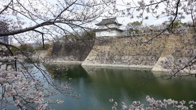 大阪城の桜