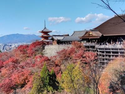 東山・清水 を歩く！