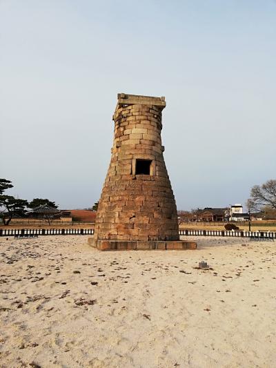 世界文化遺産都市　慶州　古墳分布地域や仏国寺の見学