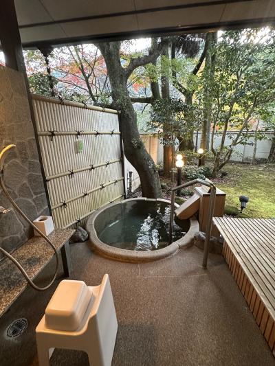 2023年12月 湯河原温泉海石榴