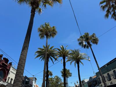 ４年ぶりの海外　シドニー旅行　その８　フェリーに乗ってマンリービーチへ行ってみよう