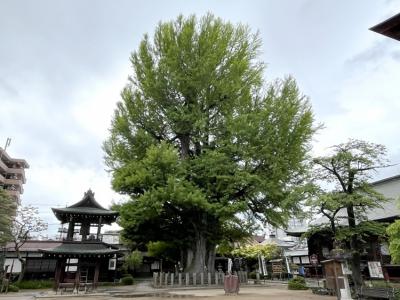 高山線途中下車・４時間で飛騨高山散策（後編）