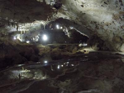 JALのセールで山口宇部へ（秋芳洞・秋吉台、湯田温泉）