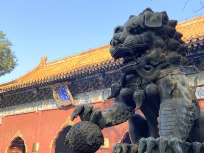 秋色の北京＆天津１人旅No.１１＜北京８＞チベット仏教寺院「雍和宮」　五道営胡同でホットワイン　中国南方航空で上海へ