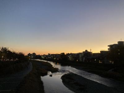 掛け軸　風景 ［京都秋の風景図］双幅 紙本　木箱無し！ Amazon.co.jp: 10年保証 掛け軸 ミニ掛け軸 和風 花鳥画 秋掛け