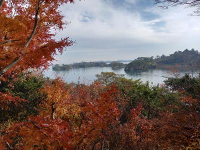 まだ紅葉もきれいだった松島
