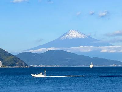 富士山の絶景を楽しむ旅(御前崎、焼津市、三保の松原)と浜名湖畔でも一泊！