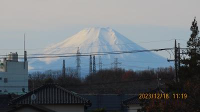 冬姿の富士山