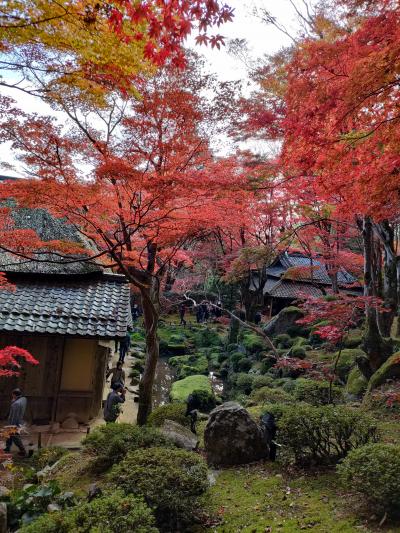 岩と苔に映える紅葉　教林坊を歩く