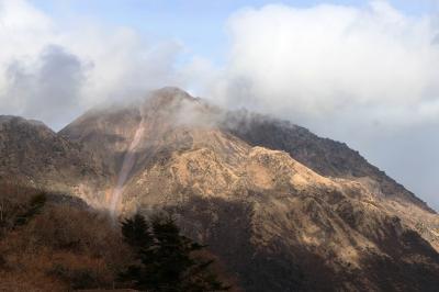 フルーツバス停と島原雲仙散策