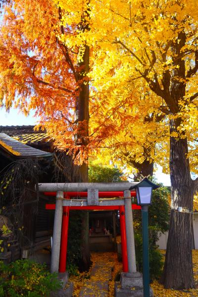 晩秋の北千住散策☆柳原稲荷神社・清亮寺・千住本氷川神社☆ライカノ☆2023/12/13