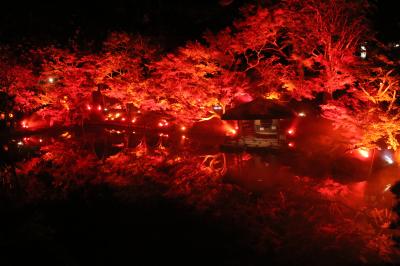 姪の結婚式で東京へ（目黒川・八芳園）