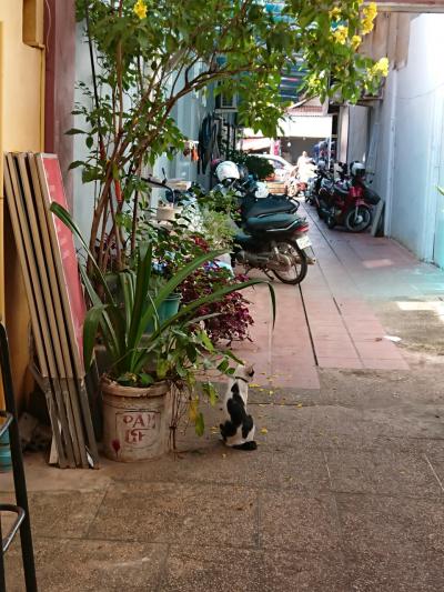 ゆるっとしてないカンボジアの旅 その②