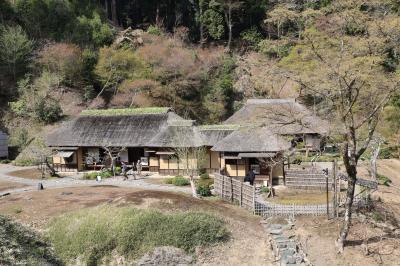 西山荘・西山公園・旧瑞龍小学校の瑞桜