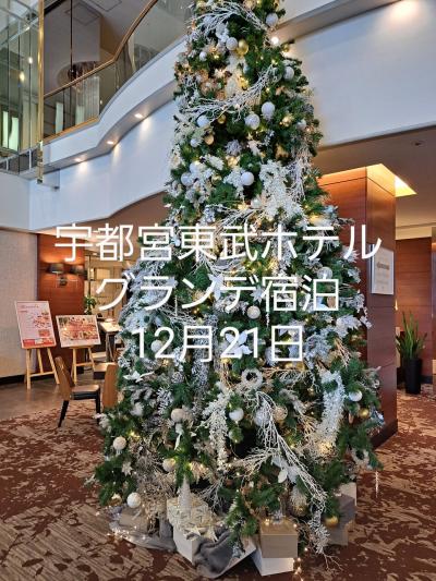 宇都宮東武ホテルグランデ宿泊12月21日