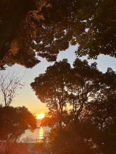 クリキャン宇佐美編&#8226;&#8226;&#8226;偉大なお魚様を愛でる方法