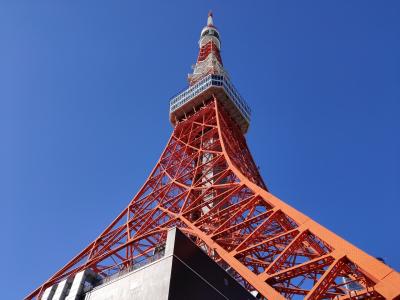 冬の東京タワーに魅せられました（増上寺、東京タワー、竹芝散歩）