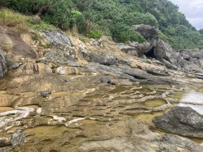 7回目の宮古島　今回は国の天然記念物を探索に