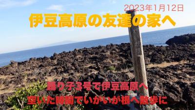 踊り子3号で伊豆高原へ　空いた時間でいがいが根へ散歩に