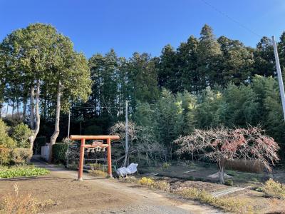 東北史跡と食い物巡り旅3(松島、塩竈、多賀城、仙台)