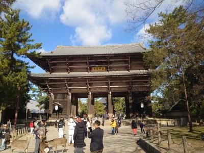 琵琶湖出張ついでに京都・奈良観光