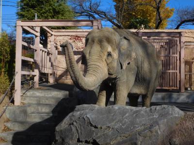 日立観光～かみね動物園など