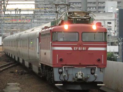 2023ときわ路パスと週末パス！知られざる東日本巡り！vol.5（ＥＦ８１形カシオペア紀行回送編）