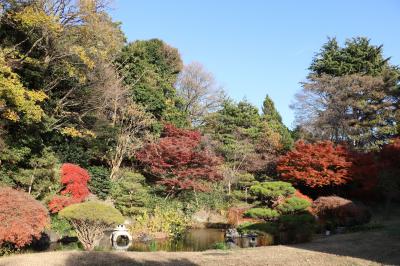 祐天寺から代官山界隈（旧朝倉家住宅など）を紅葉を求めてブラブラ2023年12月