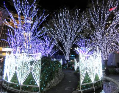 ２０２３年１１月　福岡県　博多駅前のイルミネーション