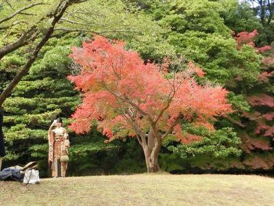 大阪万博記念公園・自然文化園でささやかな紅葉見物を楽しんだ後、日本庭園で「オッチャン達のOB会」を楽しむ。（2023）
