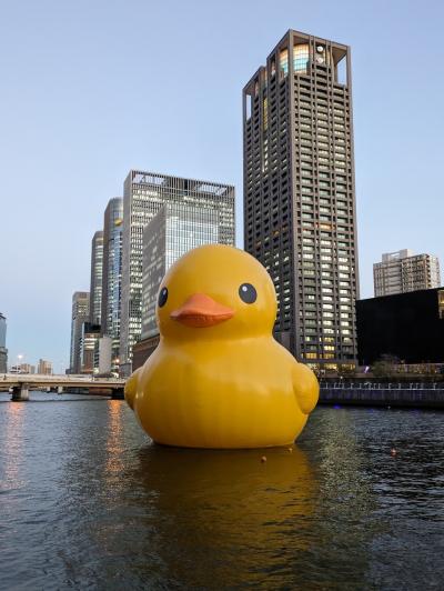 ラバー・ダックに会いに大阪へ