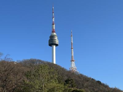 ソウルの南大門市場と南山公園。