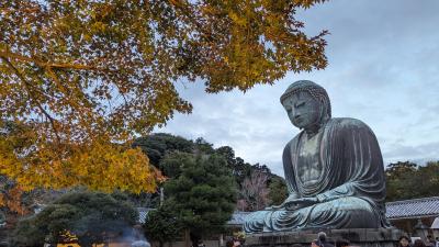 2023年11月　初めての江ノ島・鎌倉。そして久しぶりの横浜へ！３日目