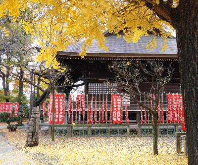 甲州街道を歩く（府中～日野）