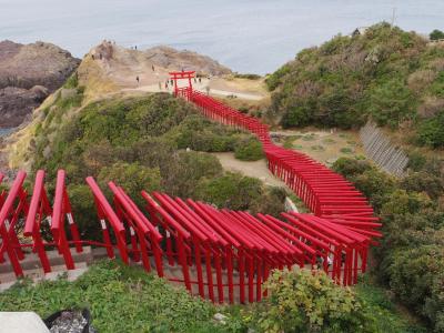 JALのセールで山口宇部へ（絶景バスツアー、角島大橋と元乃隅神社）