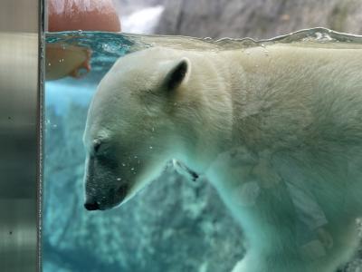 2歳連れ初飛行機で旭川の旅