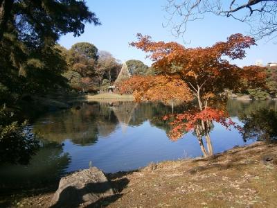 都内に紅葉を求めて六義園へ