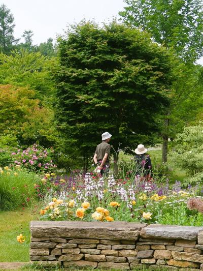 Garden街道20　十勝ヒルズa   バラ園-見ごろ　☆イギリス的庭園/アニーカの庭