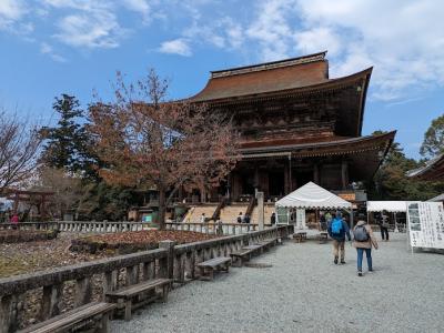 紅葉の見頃をはずしてしまった 初めての吉野