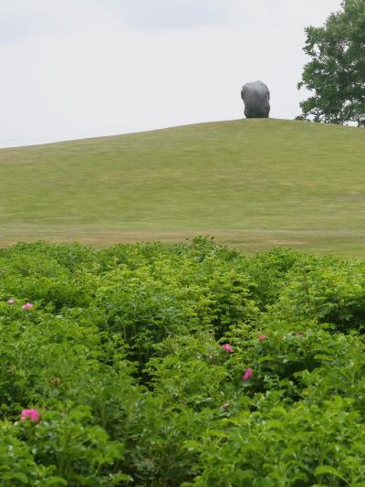 Garden街道25　六花の森　自由散策路を歩く　☆六花亭Shop・Gallery