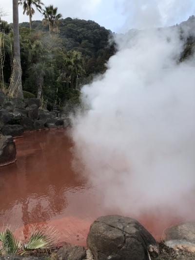 大分　別府温泉～湯布院　福岡　太宰府～博多