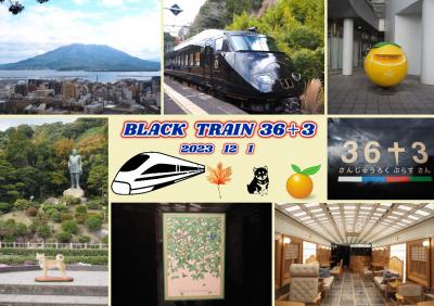 久々の南九州☆Ｄ＆Ｓ列車に誘われて♪次は本命の３６プラス３に乗って鹿児島中央⇒宮崎へ☆.｡.:*･゜