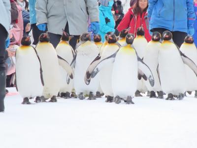 冬の旭山動物園