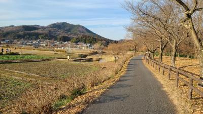 高麗、川越散策