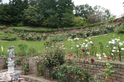 夏の山梨・箱根・伊豆旅♪　Vol.141 ☆修善寺　虹の郷：美しい夏の風景♪