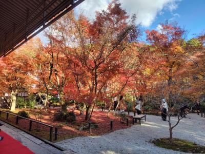 2023京都紅葉旅 1日目