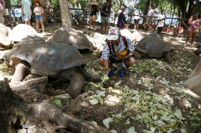 タンザニア　ザンジバル島フリータイム